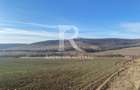 Teren extravilan de vanzare 3.900mp | Mierlau | Bihor - 2