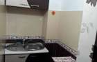 Apartament cu 1 camera - 10