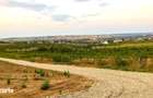 Teren Panoramic Superb, Paleu, Intravilan, 600-685mp - 2