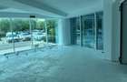 Unirii, spatiu comercial, 190mp+150mp terasa, 5500Euro/luna+TVA - 3