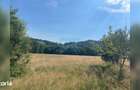 Teren cu poten?ial turistic, cadru natural rar, 20.000 mp Sacuieu - 5