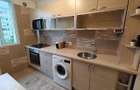 doua camere Dristor - Baba Novac - pet friendly - 1
