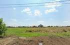 Teren de vanzare in Dudestii Noi, Timis | Direct Proprietar - 2