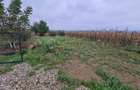 Teren 1100 mp / 550 mp- intravilan Lilieci, Bacau - 1