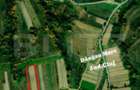 Teren extravilan 4265 mp, in Dangaul Mare - EXCLUSIVITATE - 4