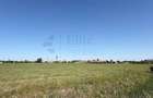 Teren intravilan 26.141 mp la E671 / DN79 | Front 484 ml - 3