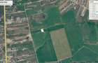 Balotesti Albinelor 450mp 15900 euro - 1