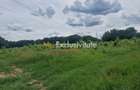 Teren extravilan Pitesti - str. Balotesi!! - 9