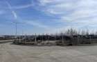 Teren De Inchiriat Otopeni - 4