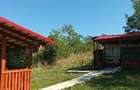 Vand casa de vacanta in TES, jud. Timis - 7