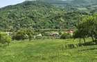 Teren de vanzare Com Berislavesti, Valcea - 5