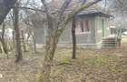 Casa cu 2 camere, teren 3000 mp, padure - 13