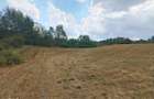2 Parcele de teren extravilan zona Bradet Pret 3000eur/ar neg usor - 4