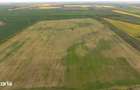 Teren investi?ional strategic 44.700 mp Arad Vest - 18