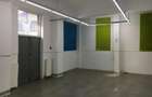 Spatiu Comercial | 261 mp | Tineretului | Front stradal 20 m
