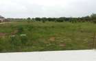 Teren 1500mp Domnesti, Str. Ghioceilor, Deschidere 43m Toate utilitatile, Ideal Proiect Case / Duplex - 3