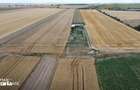 TEREN 10.000 MP VLADIMIRESCU / ACCES FOARTE BUN - 5