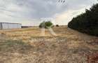 Teren Intravilan | 2500 mp | Calea Santandrei | Oradea - 1