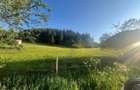 50 hectare teren | Moldova-Sulita | Potential turistic si agricol