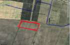 Teren extravilan 21.900 mp Parcul Industrial Reiff, Campia Turzii - 6