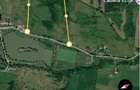 Teren 2,53 ha cu 4.458 mp intravilan - 1
