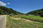Oportunitate investitie resort/complex /pensiune ,Plaiul Foii Zarnesti - 4