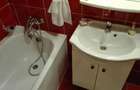 Cismigiu, apartament 2 camere de inchiriat - 8