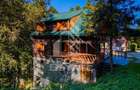 Pensiune, casa de vacanta, 6 camere, statiunea Rausor din Hunedoara - 20