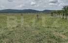 Teren De Vanzare Sesul Jelni, 5 Hectare - 2