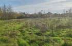 Vand teren intravilan in localitatea Istria jud Constan?a - 2