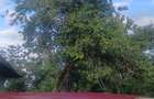 Vind casa la tara in arges tel 0733606930 - 1
