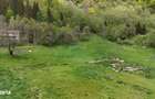 Intravilan | 10.000 mp| Satic-Rucar | Acces facil | Potential excelent