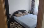 Apartament cu 2 camere decomandat pe Pop Telecan - 4