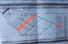 Teren de vanzare Com. Snagov , Sat Lipia. - 4