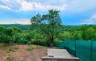 CASA DE VANZARE! Pret 119.500 E Casa ideala pentru tine Milcoiu Valcea - 12