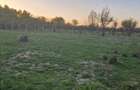 Vand teren intravilan - 4