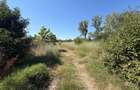 Teren de vanzare, certificat urbanism, 6.325 mp, zona Lapus Arges