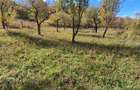 Teren de 6800 mp, în Berislăvești - 6
