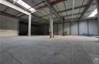 Spatiu Industrial - 1500 mp - Logistica - Productie - Depozitare - 17