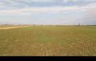 Teren agricol extravilan BorsSantion | CF + cadastru | cota mostenita