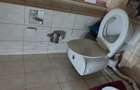Apartament 2 camere Baia Mare