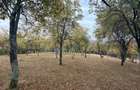 Teren de vanzare 2.614 mp in Sohodol, Tismana livada, acces asfaltat, deschidere 27,84 m
