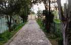 Casă cu Teren 2000 Mp în Șipotu