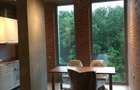 Loft Green Apartment Mogosoaia Studio Garsoniera Apartament One Herastrau Padure Baneasa Forest