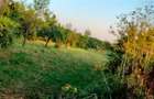 Teren intravilan 1260m Magurele Prahova