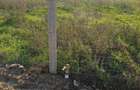 Vand teren Drobeta Turnu Severin - 3