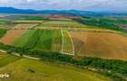 Oportunitate pentru fermieri: 10.800 mp teren arabil in Rotbav, Brasov - 5