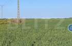 Teren arabil, 25 ha, Giulvaz-Foeni, front stradal 280 ml - 3
