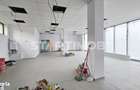 Spatiu comercial stradal vitrinat Grivitei - 12