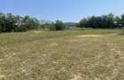 Teren de vanzare Budacu de Jos 3 parcele, utilitati la limita, zona Raal - 8